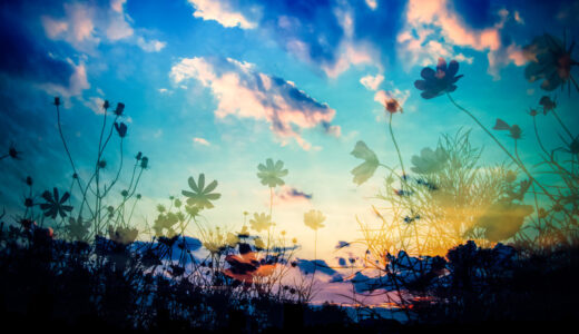 アンリべの序盤攻略の流れ！初日はどこまでやるべき？